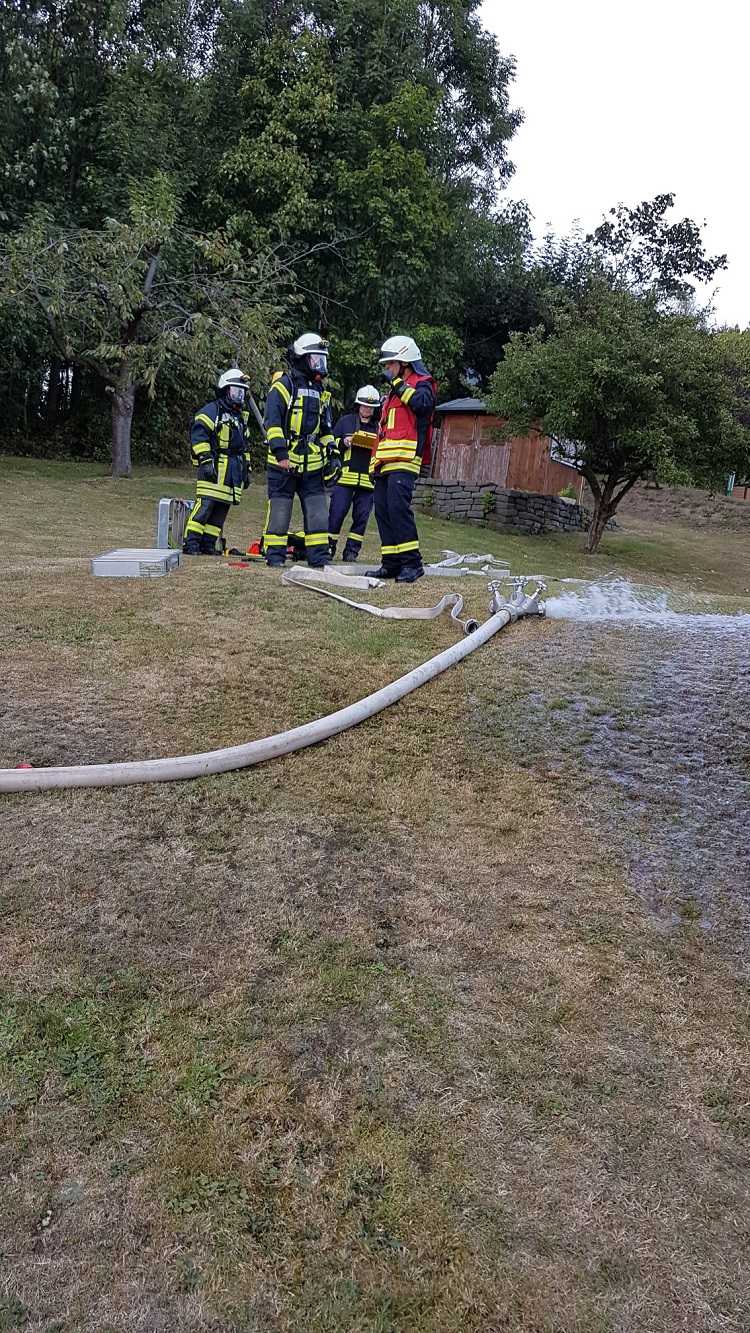 20190821_194502_resized 20190821_194502_resized