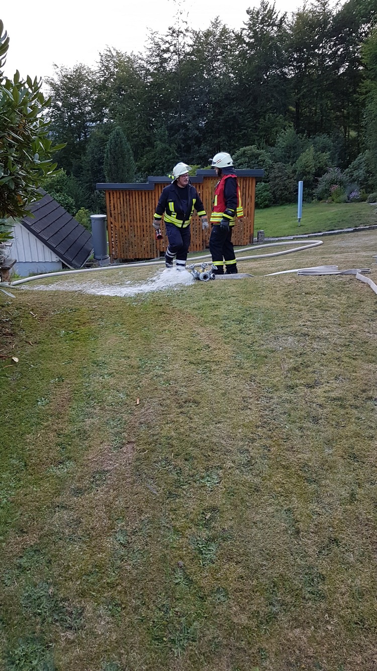 20190821_194724_resized 20190821_194724_resized