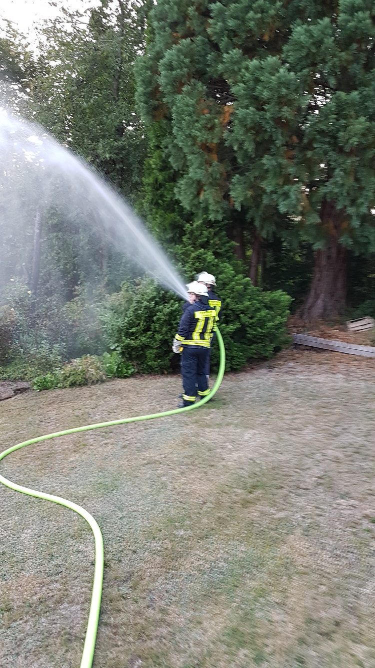 20190821_195242_resized 20190821_195242_resized