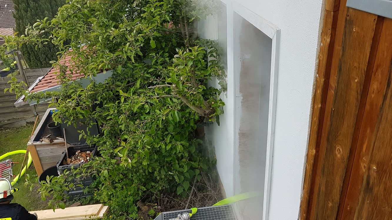 20190515_194543_resized 20190515_194543_resized