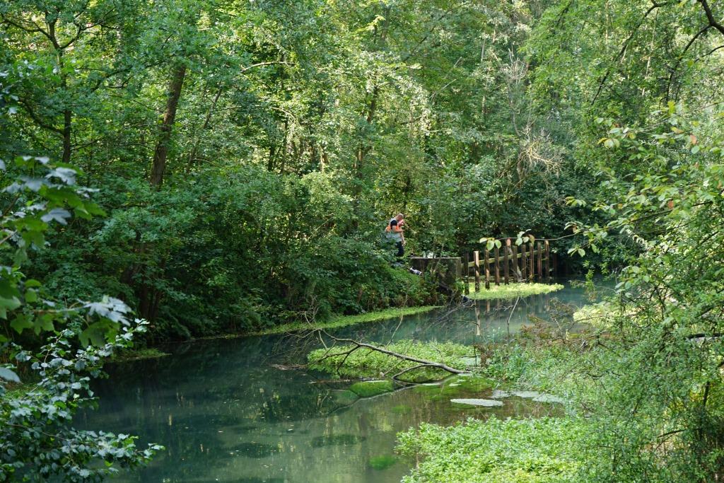 DSC00428 DSC00428
